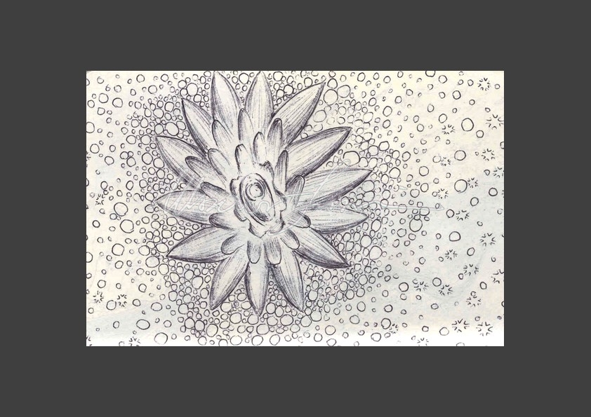 2015-10-29_Fiore-di-pietra-Universale
