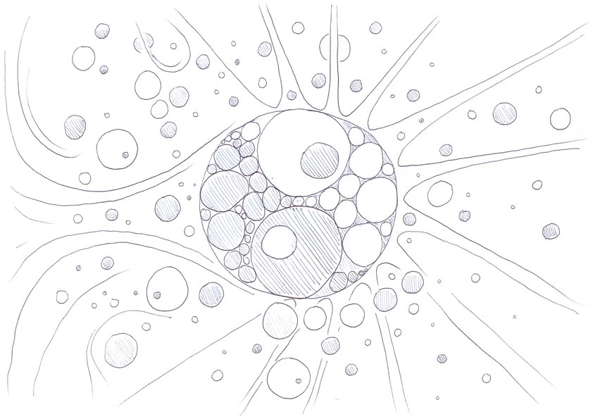 2016-03-09_Creation-love_842x595